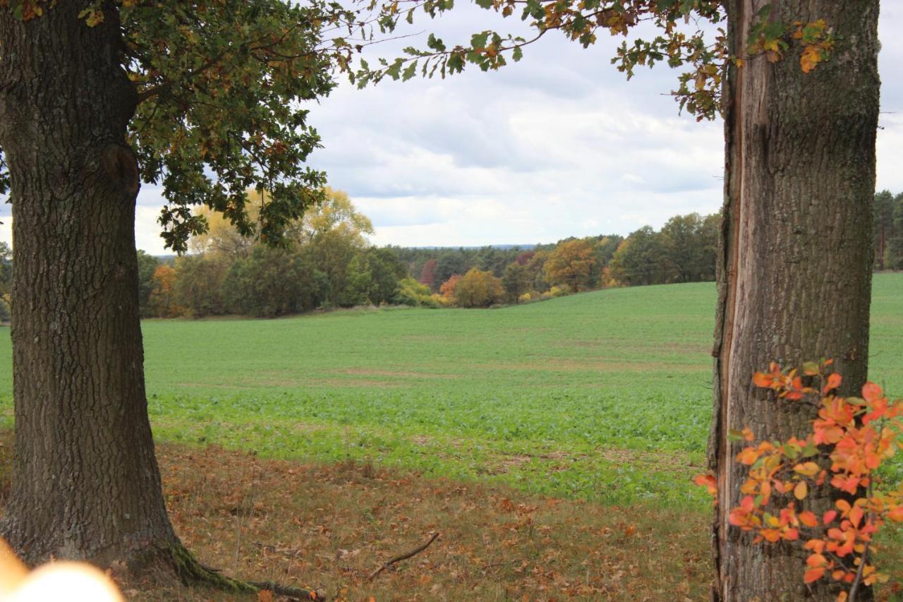Gospodarstwo Agroturystyczne Agroletnica Świdnica Exterior photo