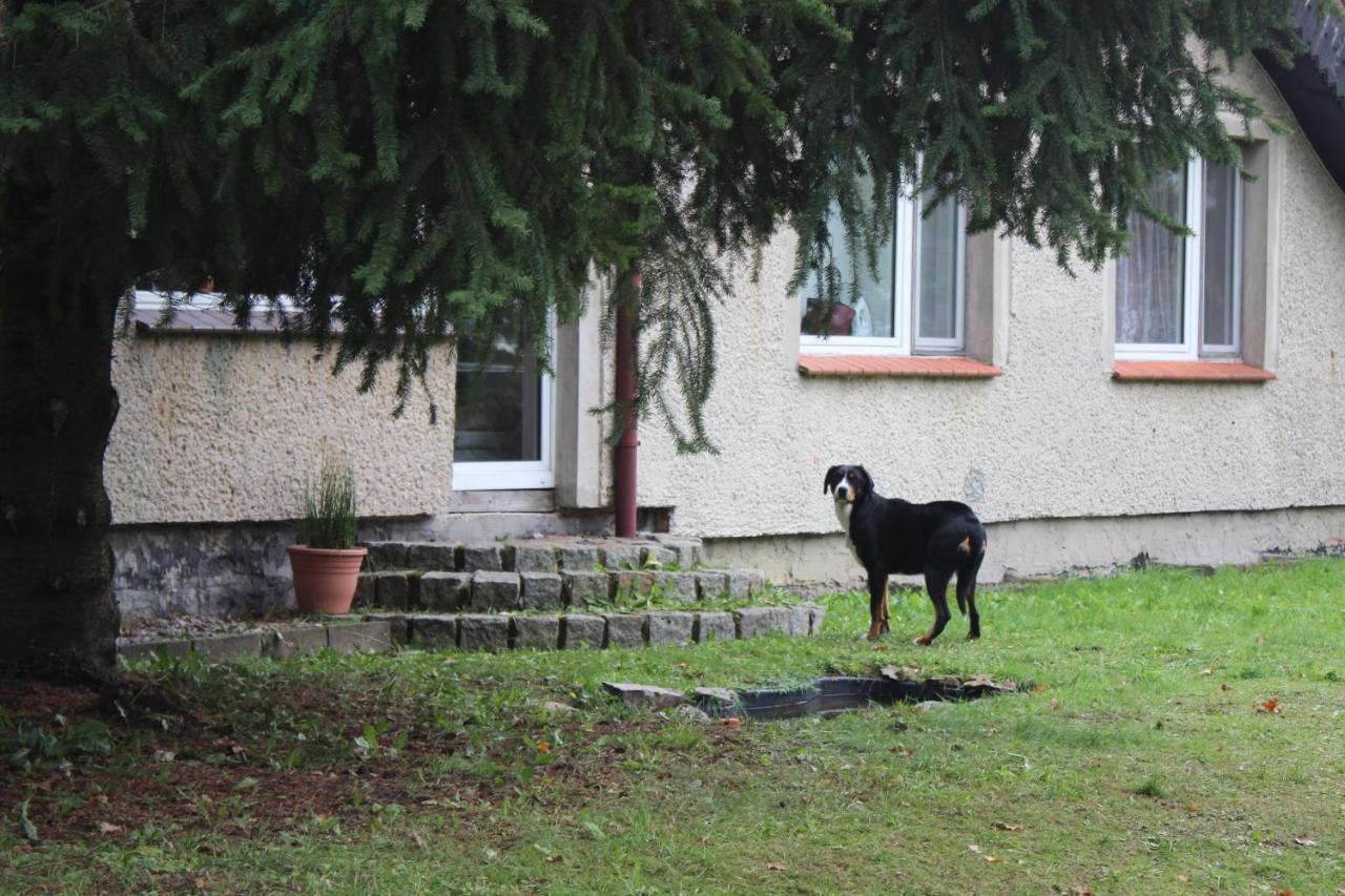 Gospodarstwo Agroturystyczne Agroletnica Świdnica Exterior photo