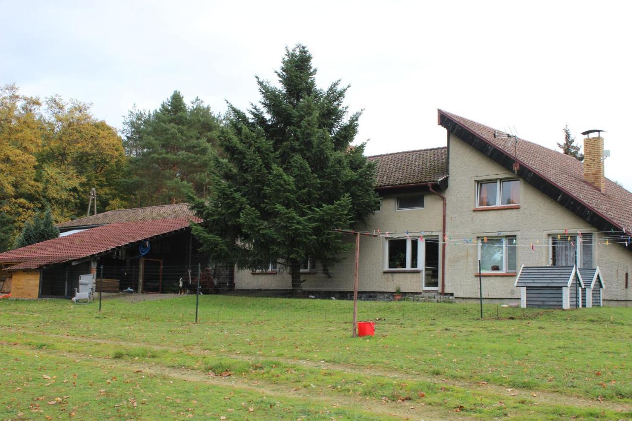 Gospodarstwo Agroturystyczne Agroletnica Świdnica Exterior photo